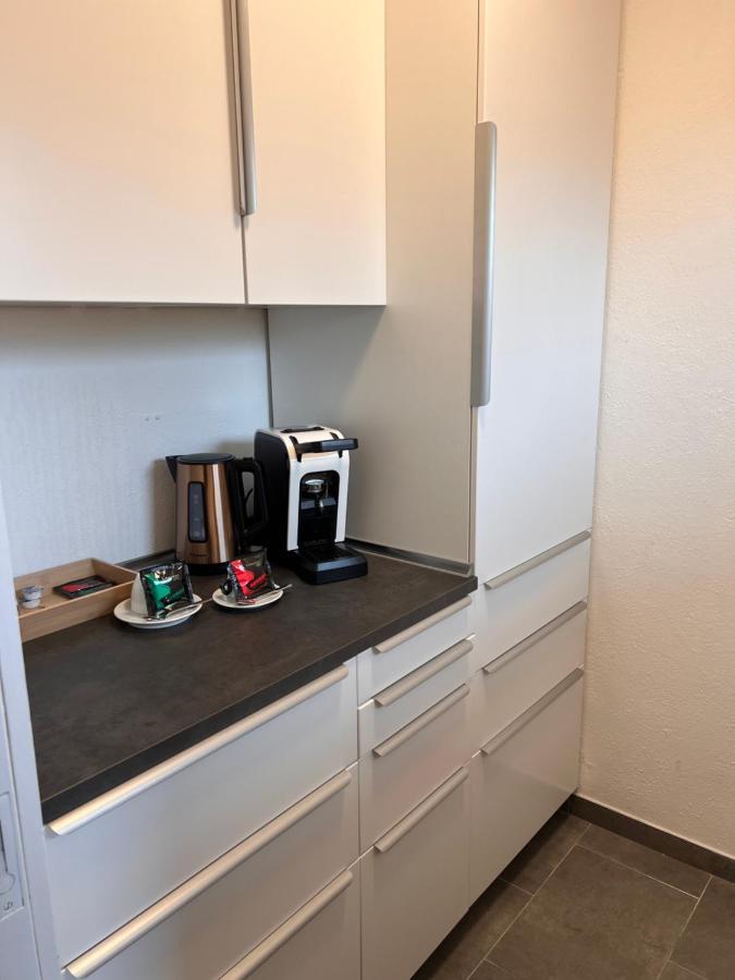 Lux Business Apartments Вайл ам Рейн Екстериор снимка